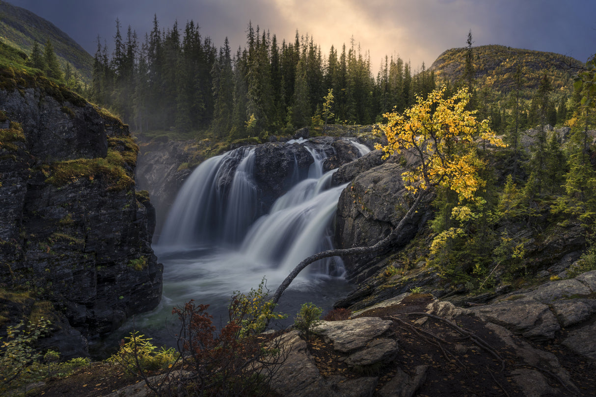 Place of fairies and trolls Poster och Canvastavla