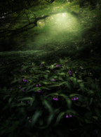 Elves Woods Poster och Canvastavla