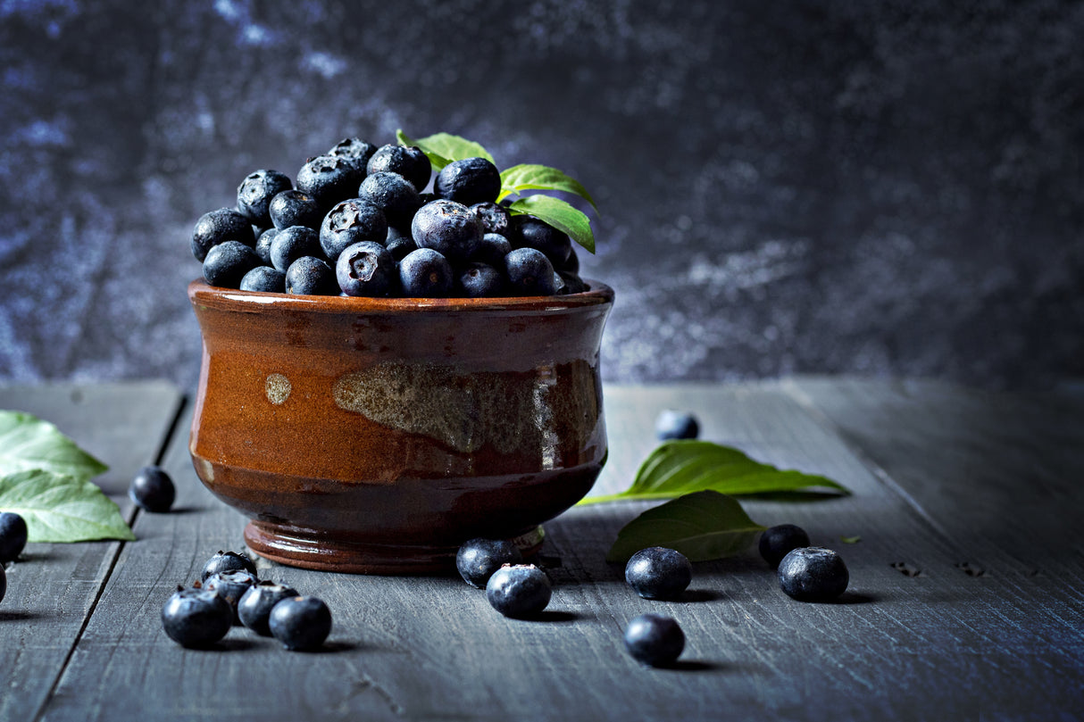Blueberry Poster och Canvastavla