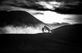 Minimalist - Taming the horse Poster och Canvastavla