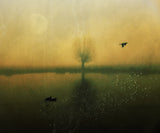 Some Time After... Poster och Canvastavla