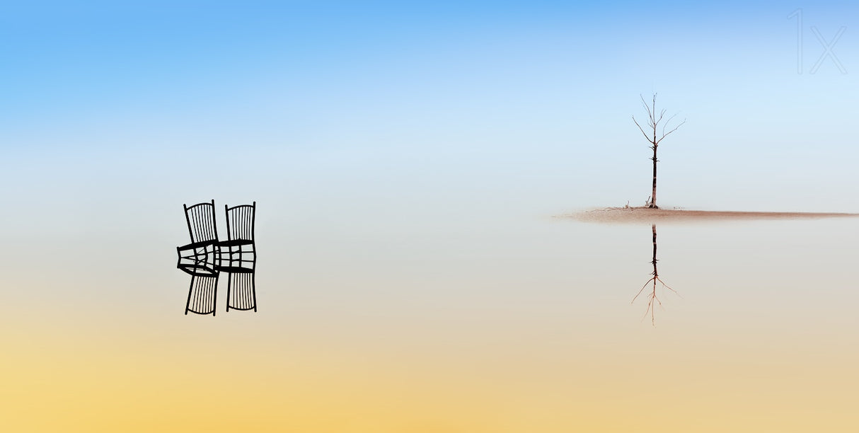 Two Chairs and a Tree Poster och Canvastavla
