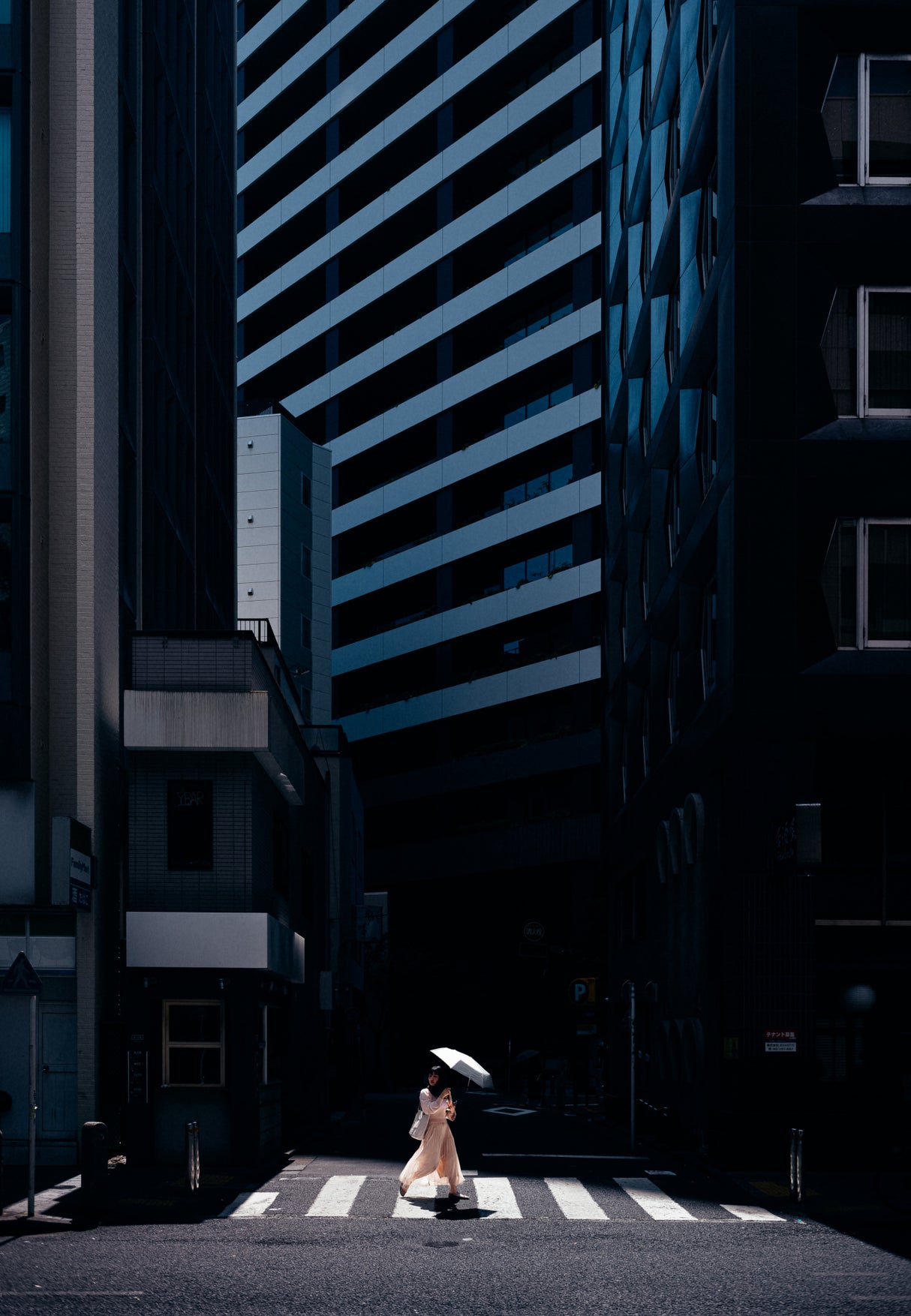 The Stripes Poster och Canvastavla