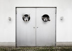 where is the way out? Poster och Canvastavla