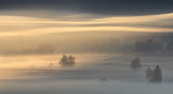 Autumn Morning Poster och Canvastavla