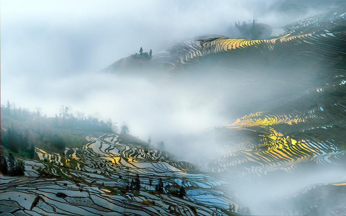 Yuan Yang rice terraces Poster och Canvastavla