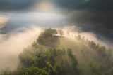 Above the foggy forest Poster och Canvastavla