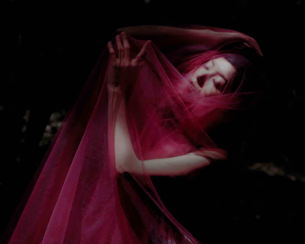 In the woods Poster och Canvastavla