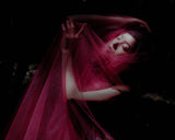 In the woods Poster och Canvastavla