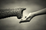 GIVE &amp; TAKE (MONOCHROME) Poster och Canvastavla