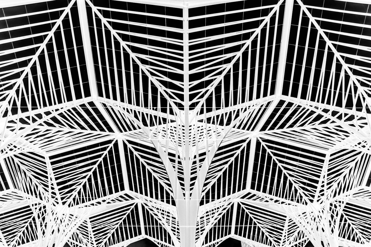 Enter the web Poster och Canvastavla
