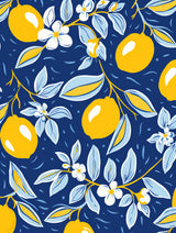 Italien Lemons 2 Poster och Canvastavla