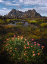 The Highlands of Iceland Poster och Canvastavla