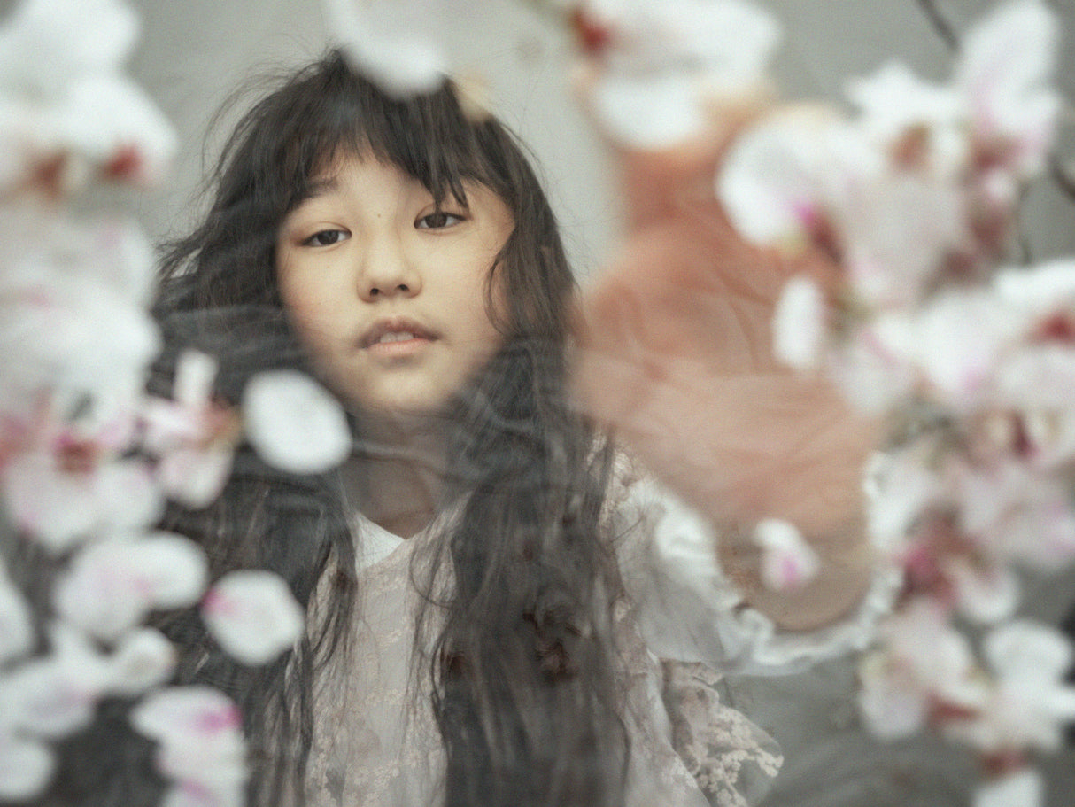 SAKURA ～Cherry blossoms～ Poster och Canvastavla