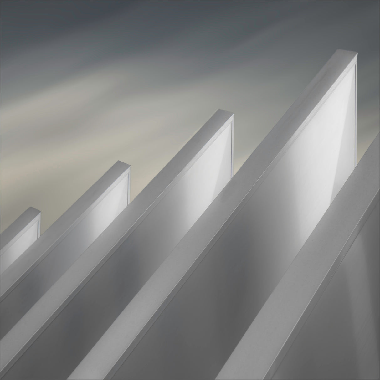 winged walls Poster och Canvastavla