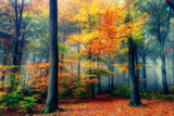 Autumn Poster och Canvastavla