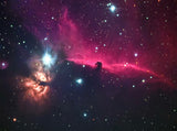 Horsehead nebula Poster och Canvastavla