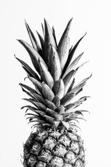 Pineapple Black &amp; White 01 Poster och Canvastavla