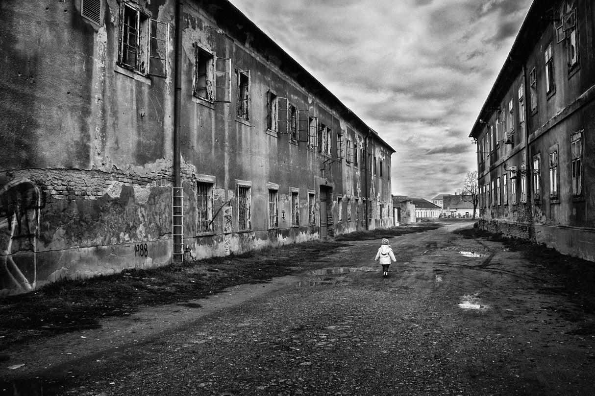 lonely street Poster och Canvastavla