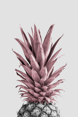 Pineapple Pink 04 Poster och Canvastavla