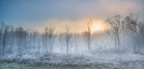 a touch of winter Poster och Canvastavla