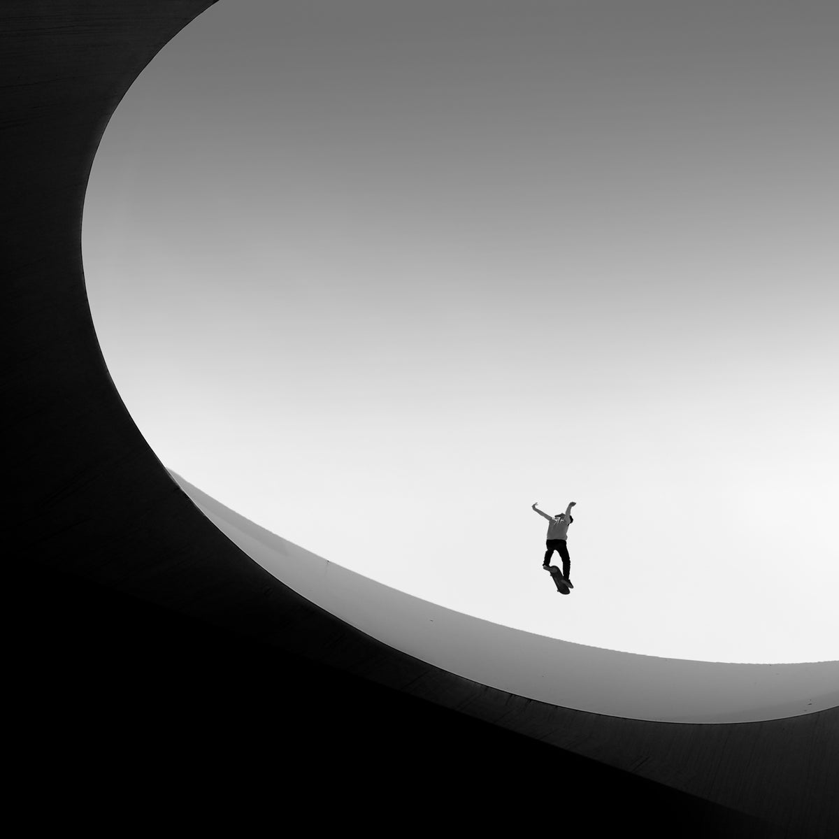 flying into the light Poster och Canvastavla