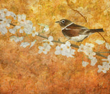 Nightingale's Solstice Poster och Canvastavla