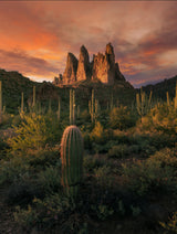 Superstition Mountains Poster och Canvastavla