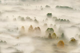 autumn dream #3 Poster och Canvastavla