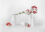Winterberries Poster och Canvastavla
