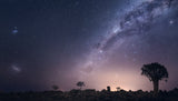 Night Sky A733958 Poster och Canvastavla