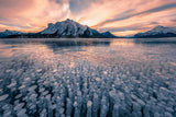 Sunrise in Bubble Lake Poster och Canvastavla