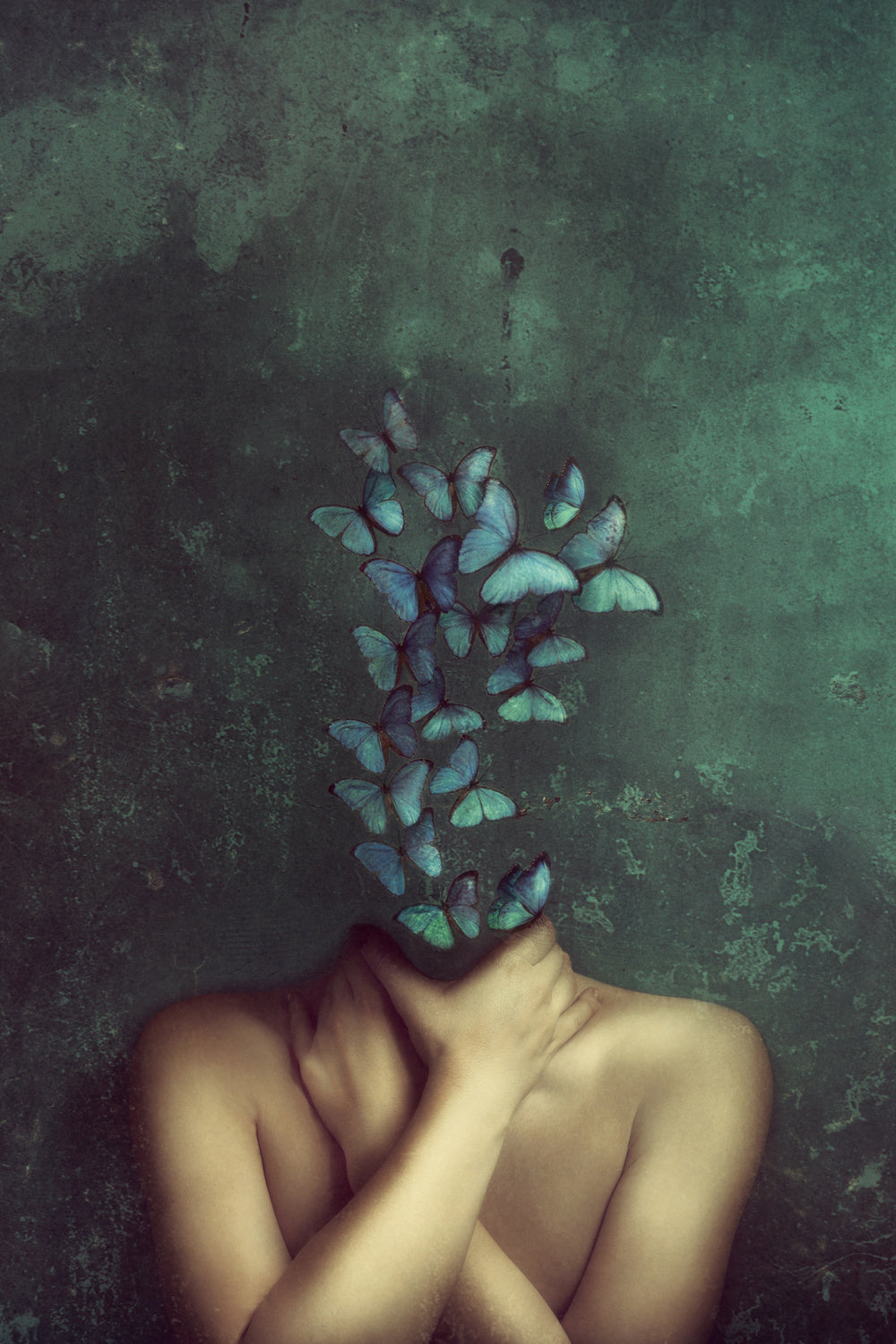 In my head butterflies Poster och Canvastavla