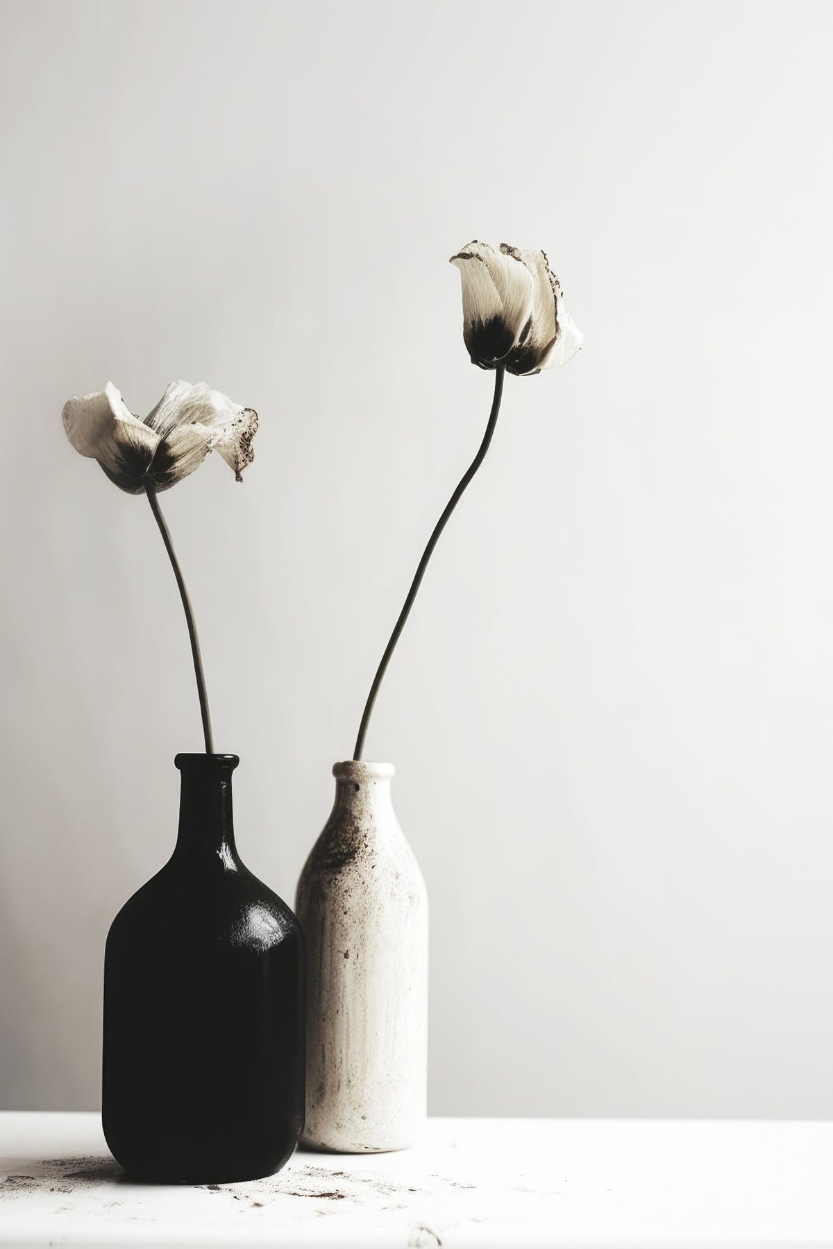 Black And White Vase No 2 Poster och Canvastavla