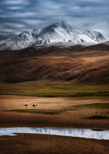 Love Under Snow Mountain Poster och Canvastavla
