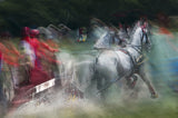 Horse pair  marathon race Poster och Canvastavla