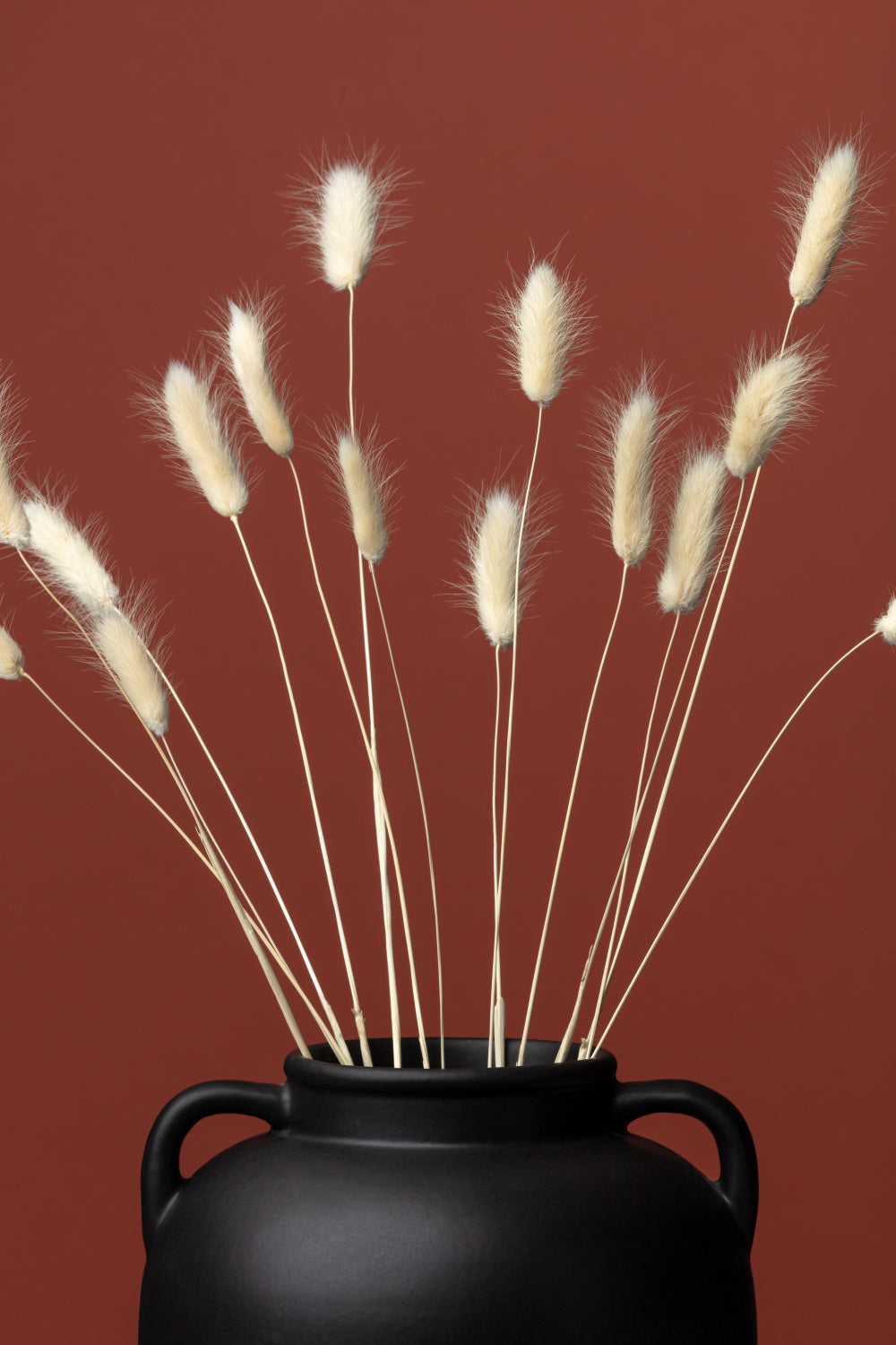 Bunny Grass Vase Poster och Canvastavla