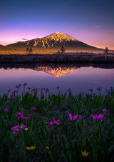 Mt. Bachelor Poster och Canvastavla