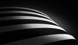 black &amp; white Poster och Canvastavla