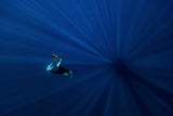To the deep Poster och Canvastavla