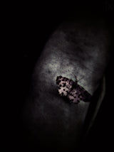 Butterfly Caught Poster och Canvastavla