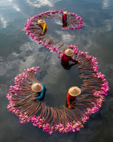 Harvesting Water Lily Poster och Canvastavla