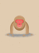 Snow Monkey Poster och Canvastavla