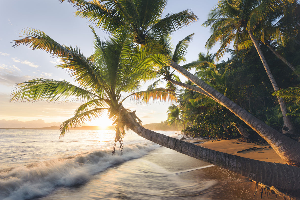 Paradise Shore Poster och Canvastavla