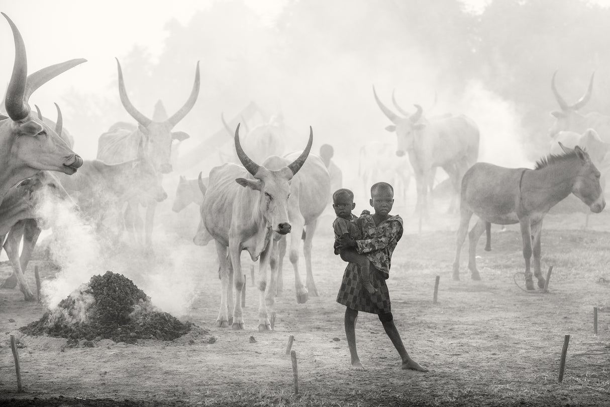 Dinka siblings in cattle camp Poster och Canvastavla