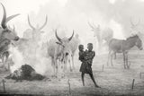 Dinka siblings in cattle camp Poster och Canvastavla