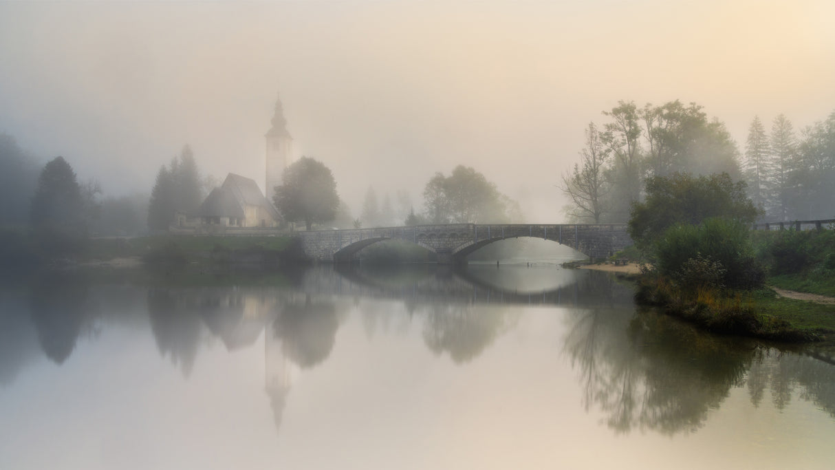 Foggy morning Poster och Canvastavla