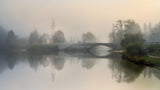 Foggy morning Poster och Canvastavla