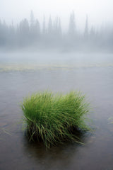 Morning at Reflection Lakes Poster och Canvastavla