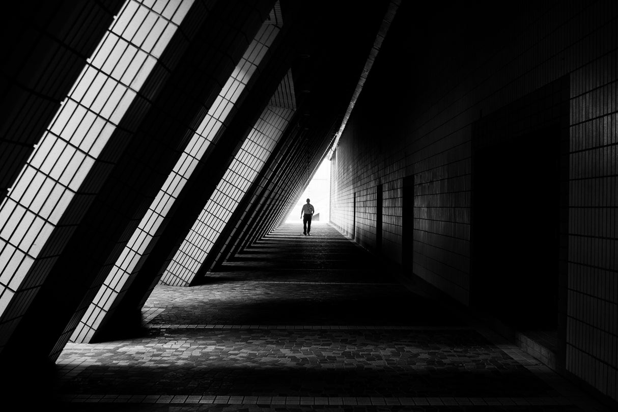 light and shadow Poster och Canvastavla